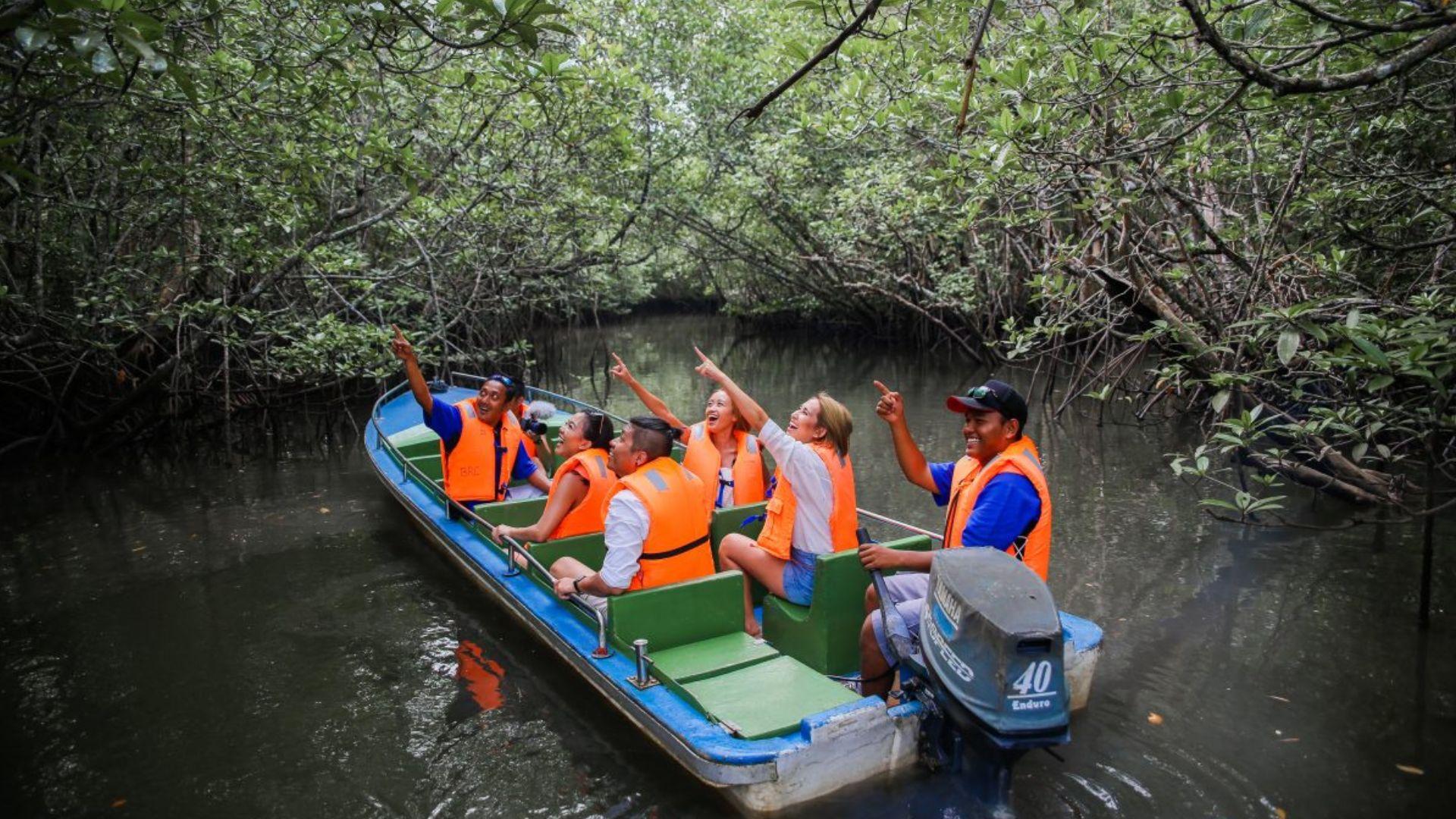 experiences-mangrove-discovery-tour